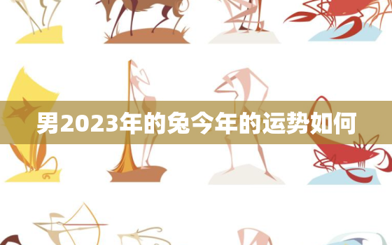 男2023年的兔今年的运势如何，2023年属兔男全年运势