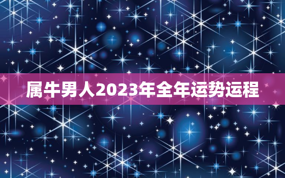 属牛男人2023年全年运势运程，属牛2023年运势及运程男性