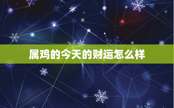 属鸡的今天的财运怎么样，属鸡的今天的财运怎么样呢