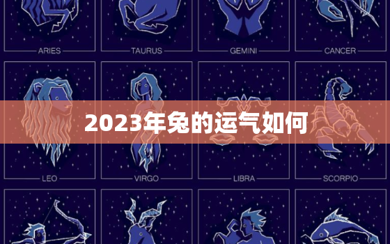 2023年兔的运气如何，2023年生肖兔年运势