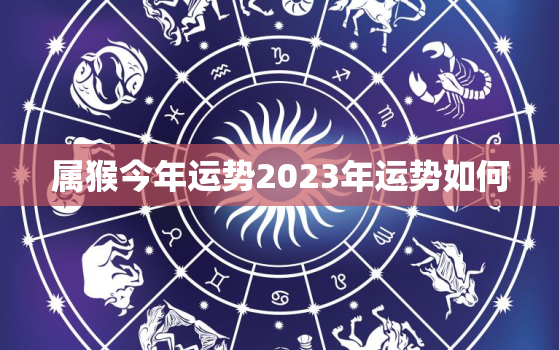 属猴今年运势2023年运势如何，属相猴2023年运势大全