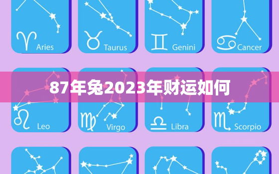 87年兔2023年财运如何，87年兔在2023年运势