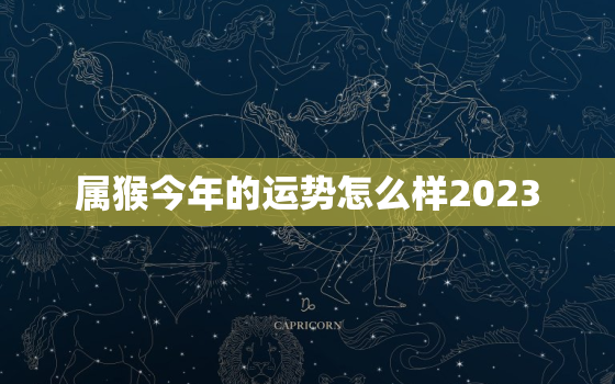 属猴今年的运势怎么样2023，属狗今年的运势怎么样2023