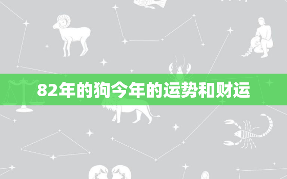 82年的狗今年的运势和财运，82年的狗今年的财运怎么样