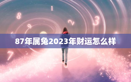 87年属兔2023年财运怎么样，87年属兔人2023年运势及财运