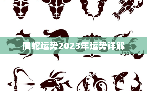 属蛇运势2023年运势详解，1977年属蛇2023年的运程