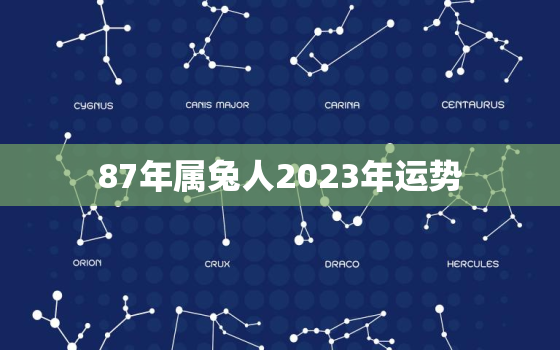 87年属兔人2023年运势，87年属兔人2023年运势女