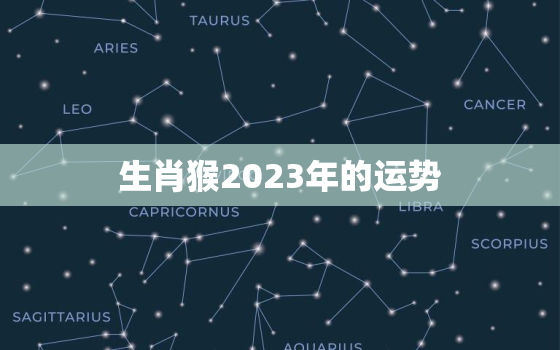 生肖猴2023年的运势，生肖猴2023年的运势大全