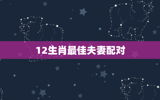 12生肖最佳夫妻配对，12生肖最佳夫妻配对男兔对