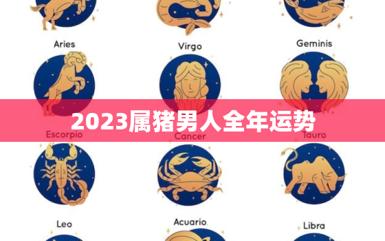 2023属猪男人全年运势，2023年属猪男人全年运势1971