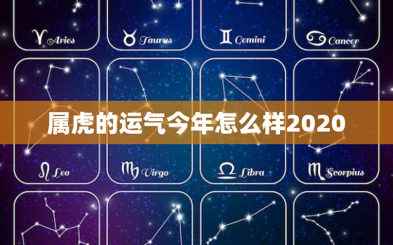 属虎的运气今年怎么样2020，属虎的运气今年怎么样2022