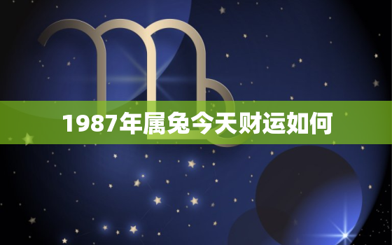 1987年属兔今天财运如何，87年的兔今天财运如何