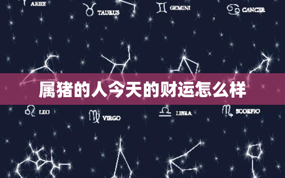 属猪的人今天的财运怎么样，属猪的今天财运怎么样?