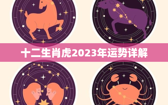 十二生肖虎2023年运势详解，虎年运势2023年运势12生肖运势