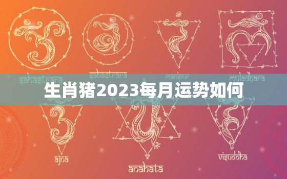 生肖猪2023每月运势如何，2023属猪人的全年每月运势