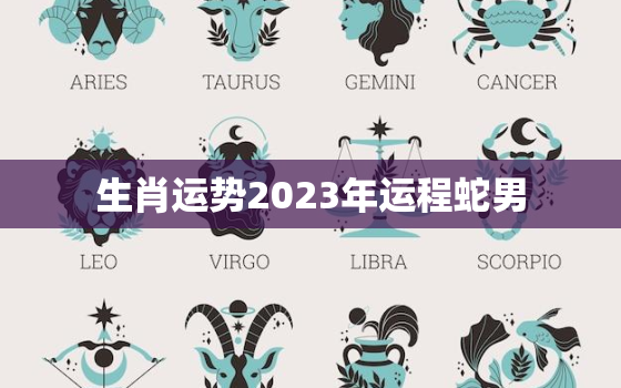 生肖运势2023年运程蛇男，2023年运势及运程