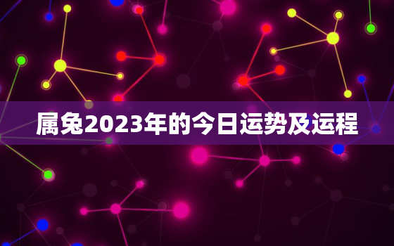 属兔2023年的今日运势及运程，属兔运势2023年运势详解