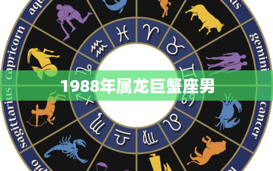 1988年属龙巨蟹座男(性格介绍内敛却有爆发力)