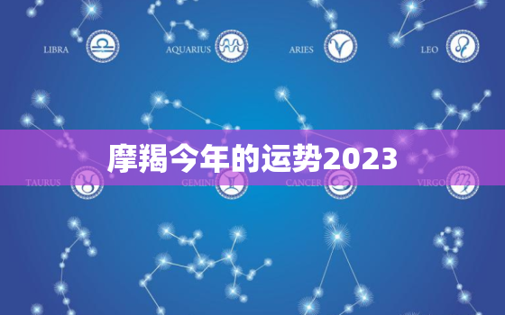 摩羯今年的运势2023(事业财运双丰收)