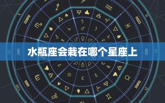 水瓶座会栽在哪个星座上(星座配对大介绍)