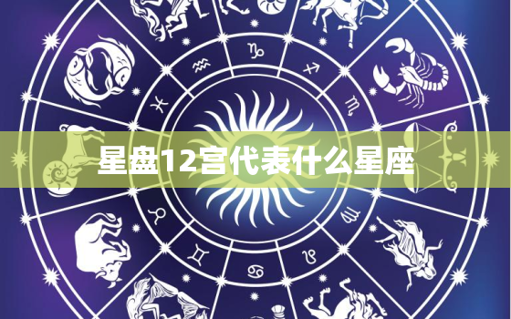 星盘12宫代表什么星座(介绍星座与宫位的奥秘)