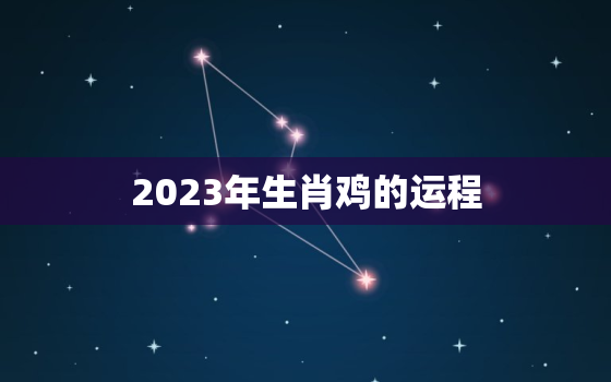 2023年生肖鸡的运程(顺风顺水财运亨通)