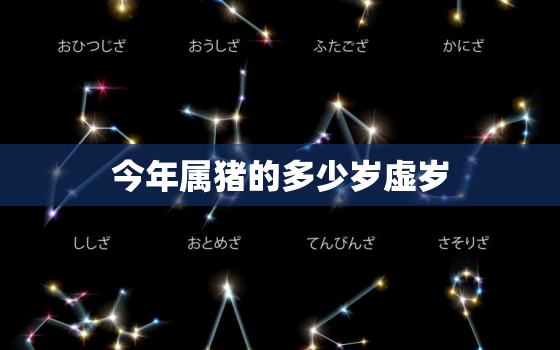 今年属猪的多少岁虚岁(猪年生肖年龄计算方法解析)