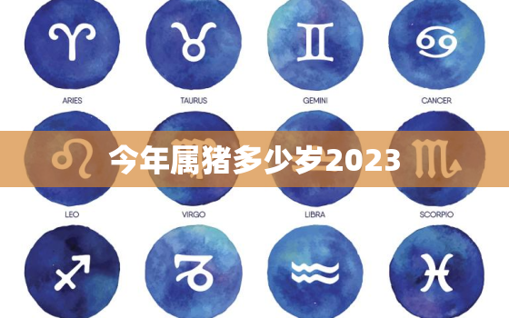 今年属猪多少岁2023(猪年人的年龄计算方法详解)