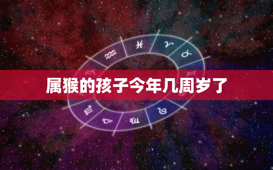 属猴的孩子今年几周岁了(如何算出你的孩子年龄)