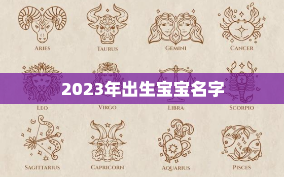 2023年出生宝宝名字(如何选择45个字的指南)