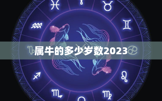 属牛的多少岁数2023(2023年属牛人的年龄预测)