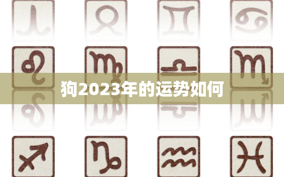 狗2023年的运势如何(狗年运势大揭秘)