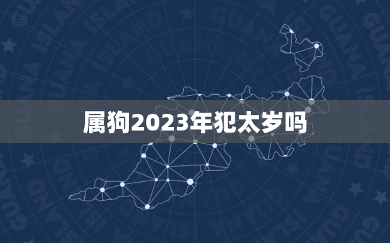 属狗2023年犯太岁吗(解析狗年犯太岁的真相)