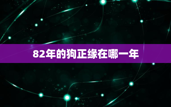 82年的狗正缘在哪一年(揭秘狗狗的命运之年)