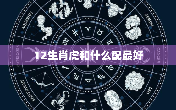 12生肖虎和什么配最好(最佳搭档大揭秘)