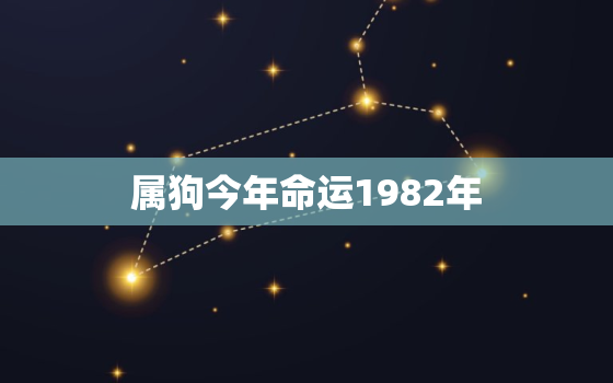 属狗今年命运1982年(狗年大吉财运亨通)