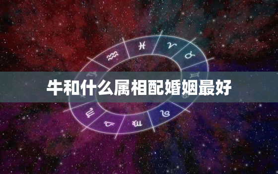 牛和什么属相配婚姻最好(最佳配对星座大揭秘)