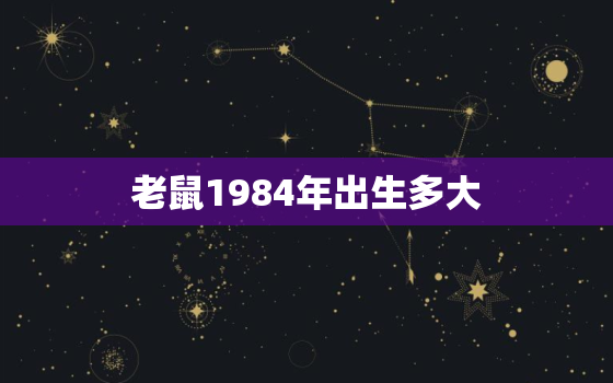 老鼠1984年出生多大(回顾1984年的老鼠年探究老鼠的寿命和年龄计算方法)