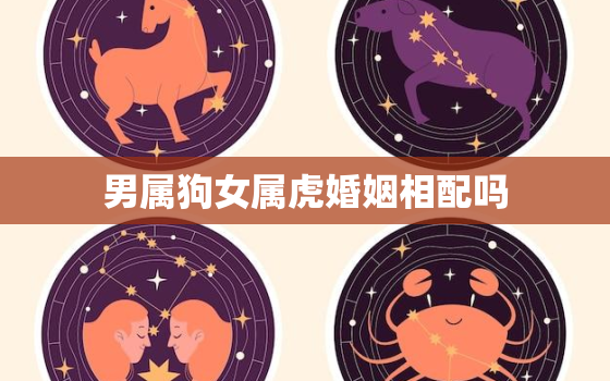 男属狗女属虎婚姻相配吗(解析星座配对的秘密)