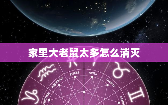 家里大老鼠太多怎么消灭(有效方法大揭秘)