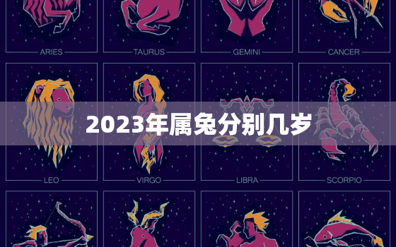 2023年属兔分别几岁(属兔人的年龄计算方法)