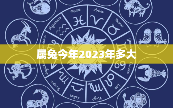 属兔今年2023年多大(兔年人的年龄计算方法解析)