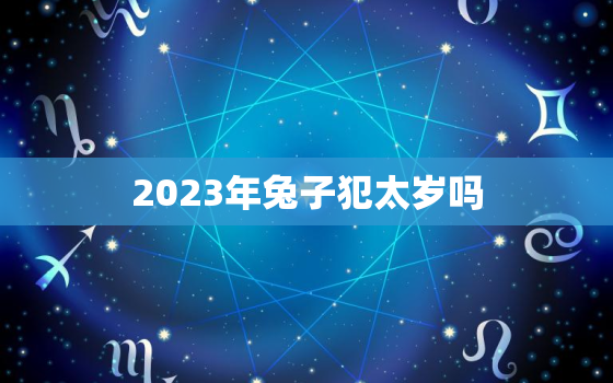 2023年兔子犯太岁吗(解析兔子2023年是否会遭遇太岁之灾)