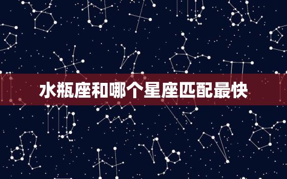 水瓶座和哪个星座匹配最快(最佳星座搭配大揭秘)