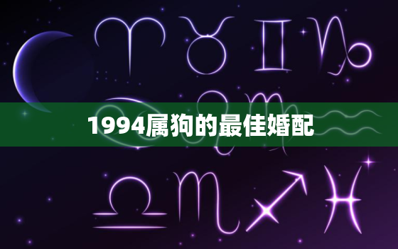 1994属狗的最佳婚配(寻找最佳伴侣星座、血型、性格全方位分析)