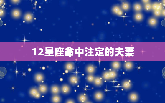 12星座命中注定的夫妻(星座配对大揭秘)