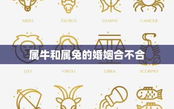 属牛和属兔的婚姻合不合(星座配对分析)