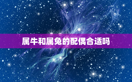 属牛和属兔的配偶合适吗(星座配对分析)