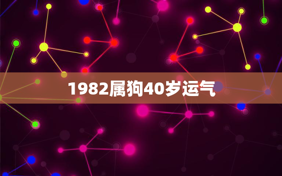 1982属狗40岁运气(如何把握人生转折点)