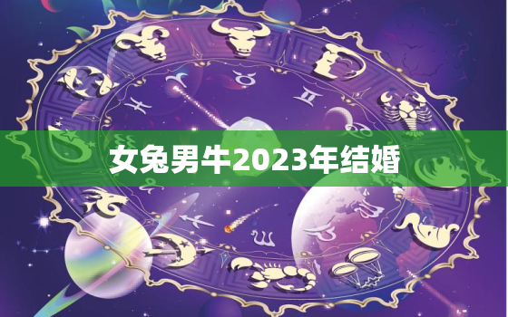 女兔男牛2023年结婚(天作之合缘定一生)